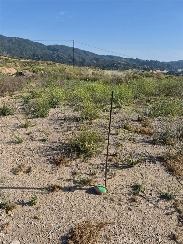 0 2833028006, Newhall, CA 91321 - #1