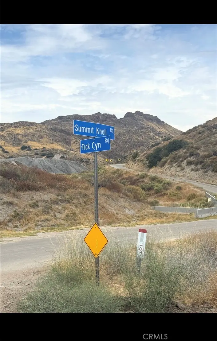 0 Tick Canyon Road, Approximately  Mile South, Agua Dulce, CA 91350 - #3