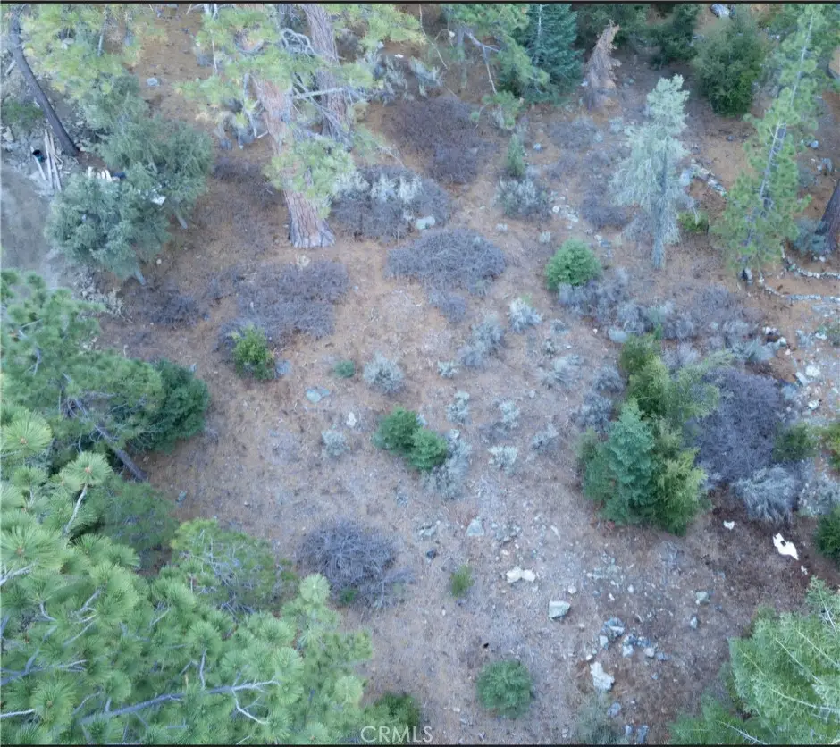 15024 Chestnut, Pine Mountain Club, CA 93222 - #1