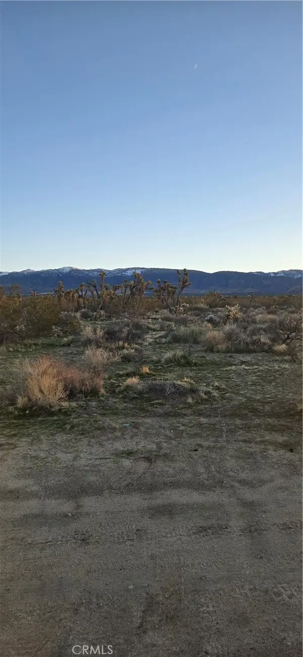 253 Vac/vic, Littlerock, CA 93591