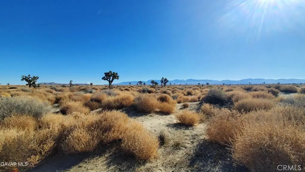 0 Vicinity Avenue L2 & 77th East, North Antelope Valley, CA 93535 - #1