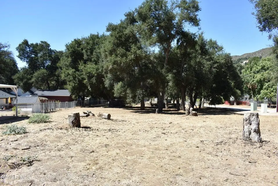 15206 Punky Canyon & Calle El Bosque, Green Valley, CA 91350 - #1