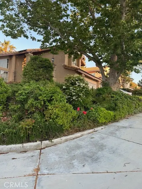 30103 Desert Rose, Castaic, CA 91384 - #1