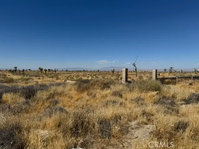 46135 E 20th Street, Lancaster, CA 93535 - #3