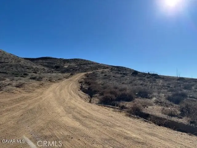 35150 Via Famero Drive, Acton, CA 93510 - #2