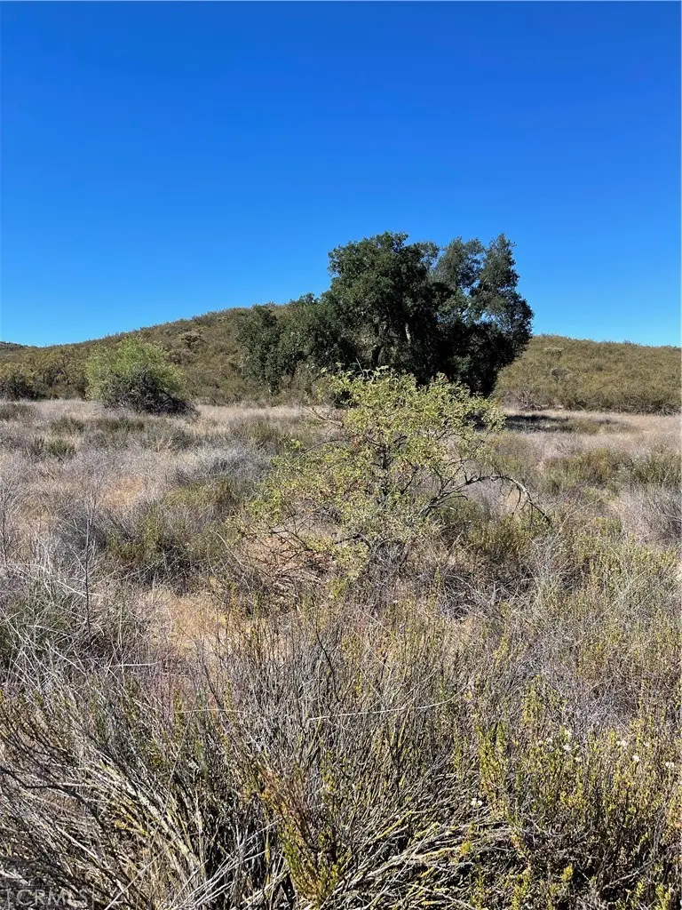 20 Stier Street, Hemet, CA 92544 - #1