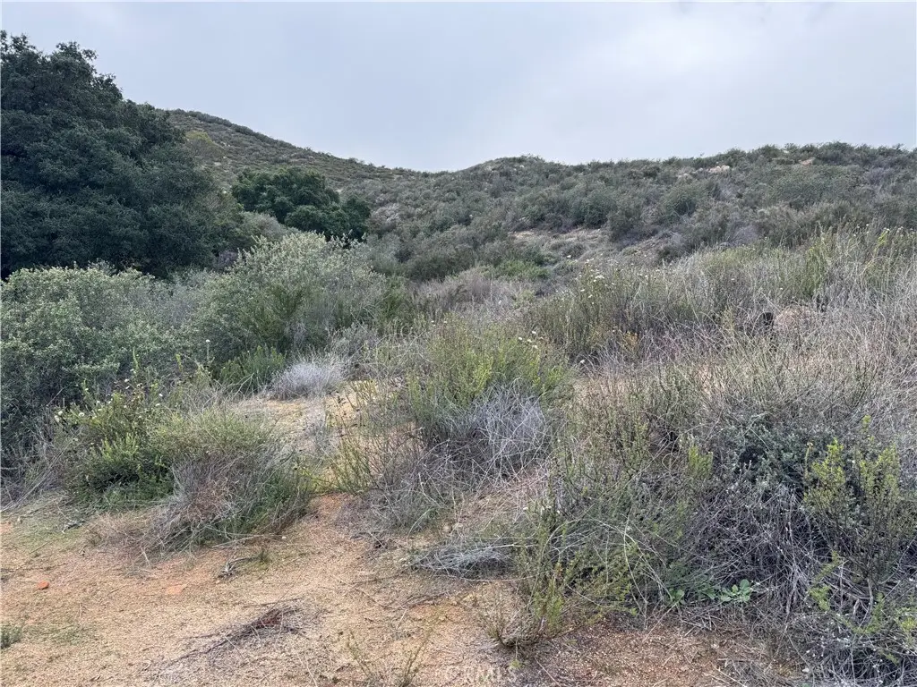 16 Orange, Menifee, CA 92584 - #1