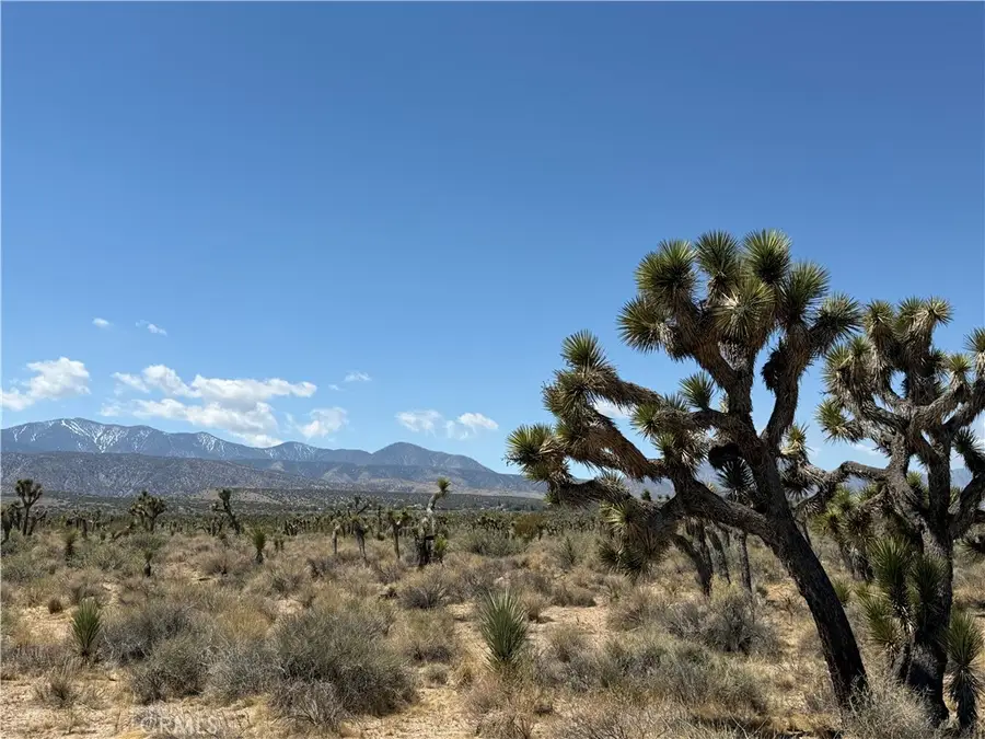 0 Ave Y8 & 233rd St E Avenue, Llano, CA 93544 - #2