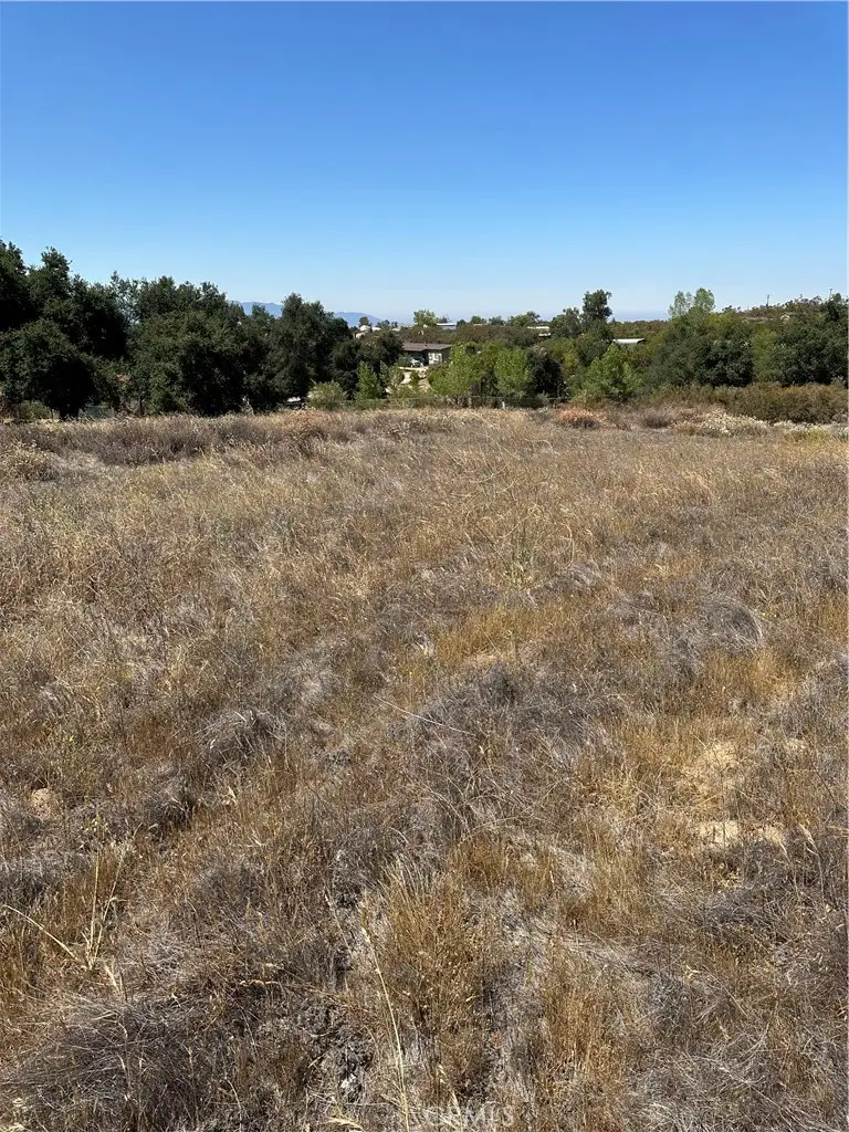 45775 Red Mountain Road, Hemet, CA 92544 - #2