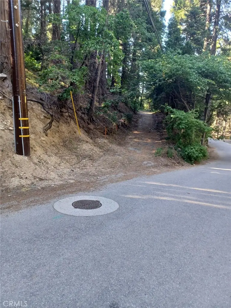 0 Community Drive, Lake Arrowhead, CA 92352 - #2