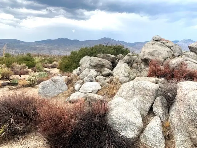 238 Casino Road, Mountain Center, CA 92561 - Image #1