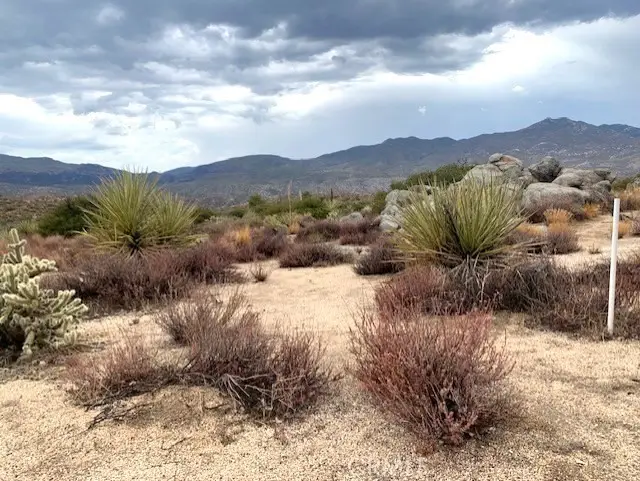 238 Casino Road, Mountain Center, CA 92561 - Image #3