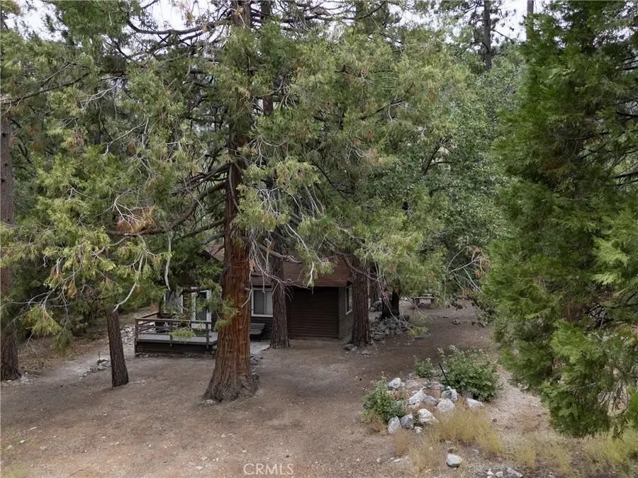 9165 Coffey Road, Forest Falls, CA 92339 - #2
