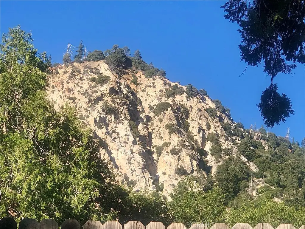 41424 Valley Of The Falls Drive, Forest Falls, CA 92339 - #1