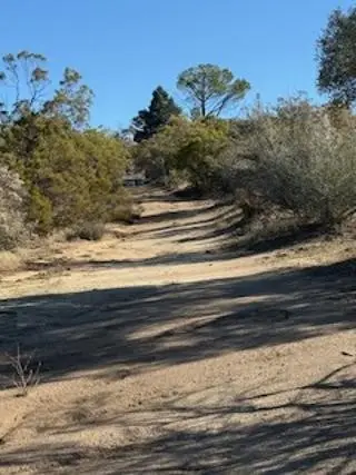 0 Reynolds, Anza, CA 92539 - #3