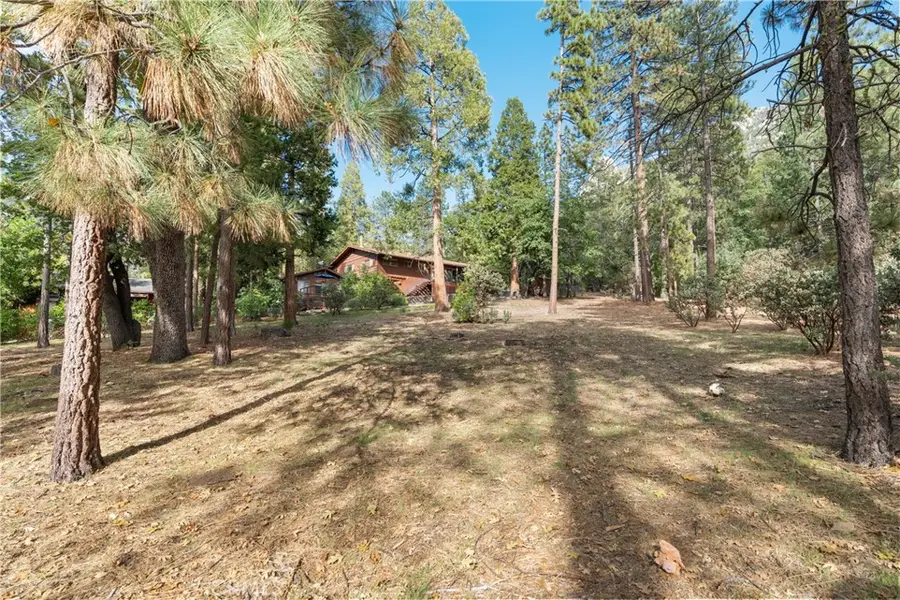 25220 Rim Rock, Idyllwild, CA 92549 - #3