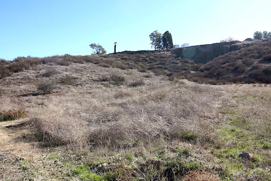 33687 N Sidney Circle, Winchester, CA 92596 - Image #2