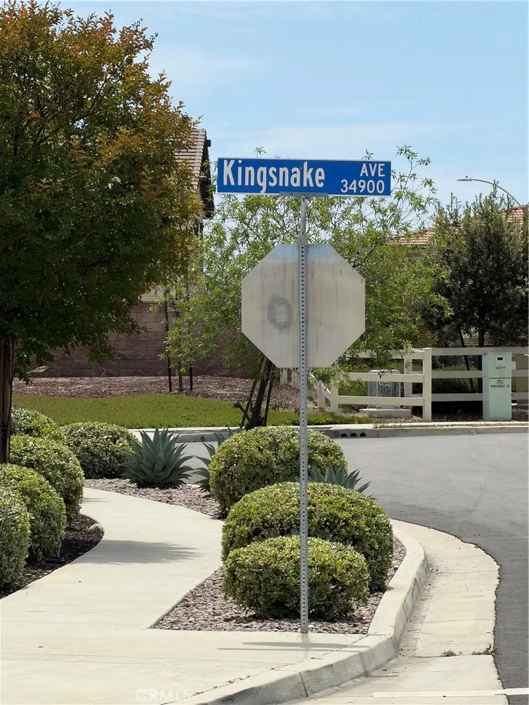 34762 Kingsnake, Murrieta, CA 92563 - #3