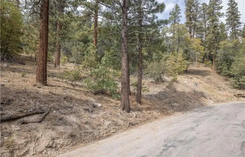 1237 Ridge Road, Fawnskin, CA 92333 - Image #1