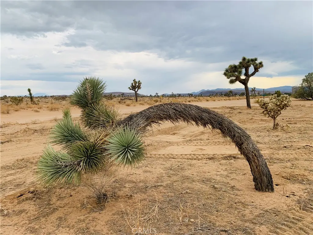 58040 Junipero, Yucca Valley, CA 92284 - #1