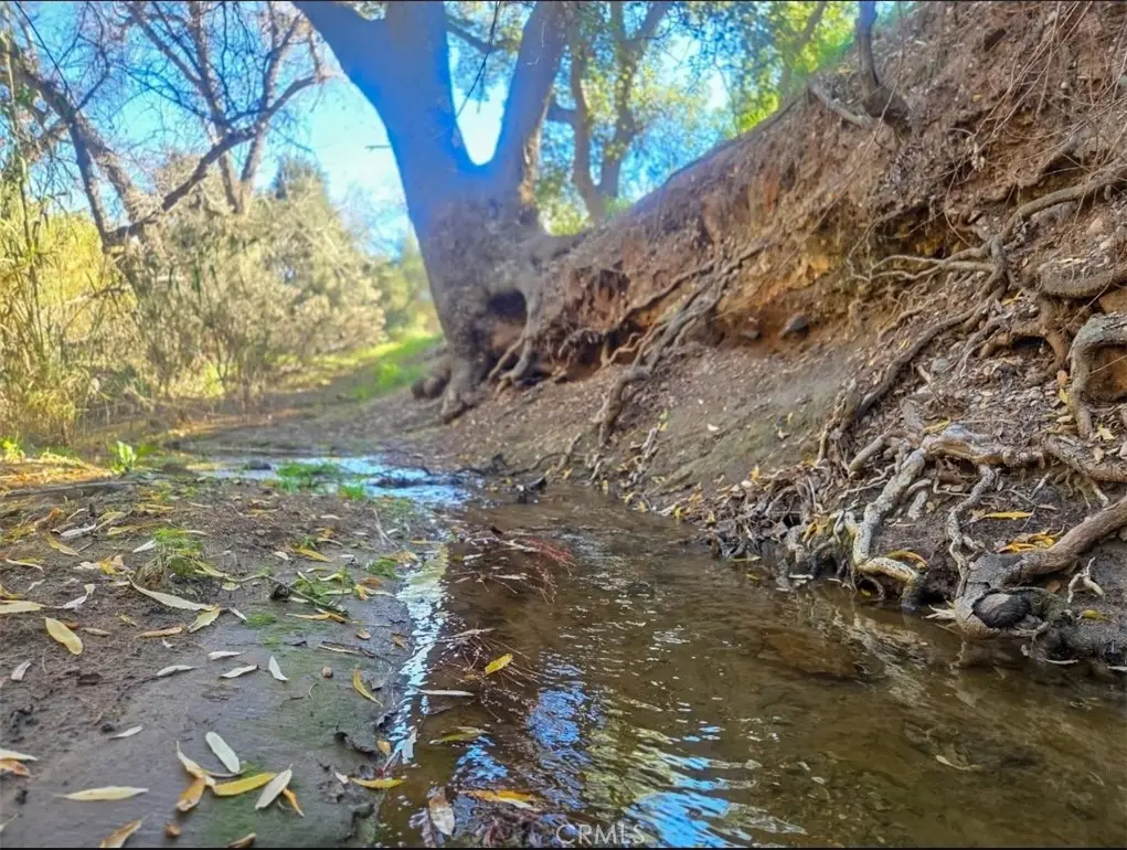 24484 Olive Street, Menifee, CA 92584 - #1