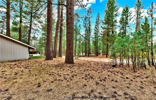 1662 Maiden Hair Ct, South Lake Tahoe, CA 96150