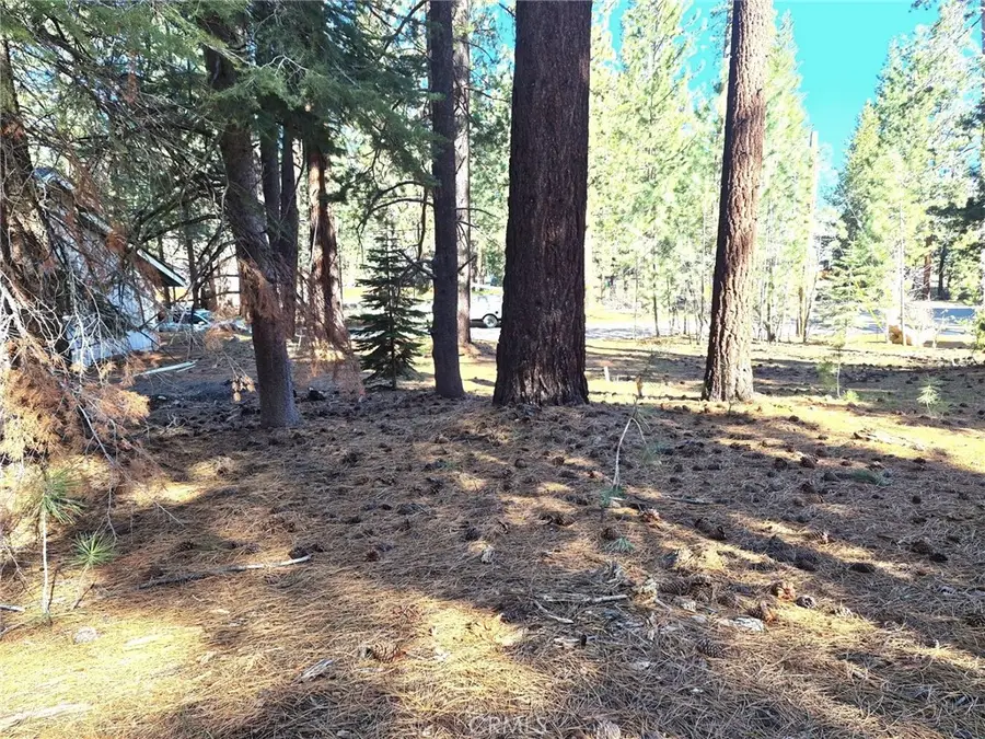 1662 Maiden Hair Ct, South Lake Tahoe, CA 96150 - #2