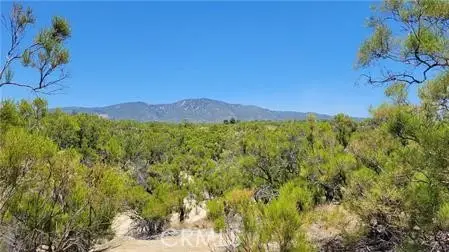 0 Glenda Lane, Anza, CA 92539 - #3