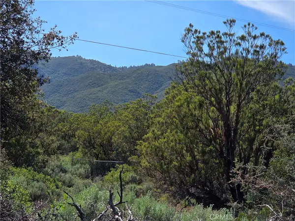 37400 Tripp Flats, Anza, CA 92539