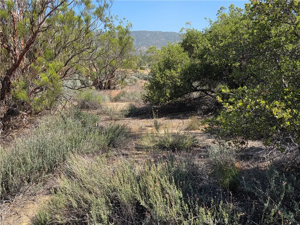 56941 Cain, Anza, CA 92539 - #1