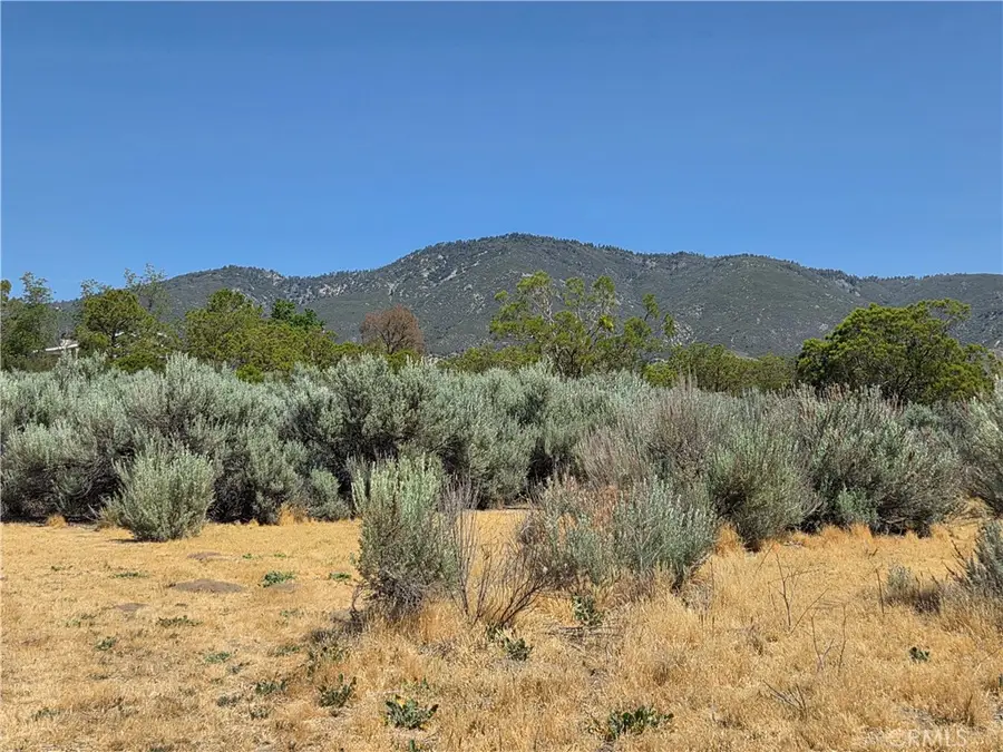 37230 Bautista Canyon, Anza, CA 92539 - #3