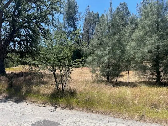 0 Coalinga, San Benito Bitterwater, CA 93210 - #2