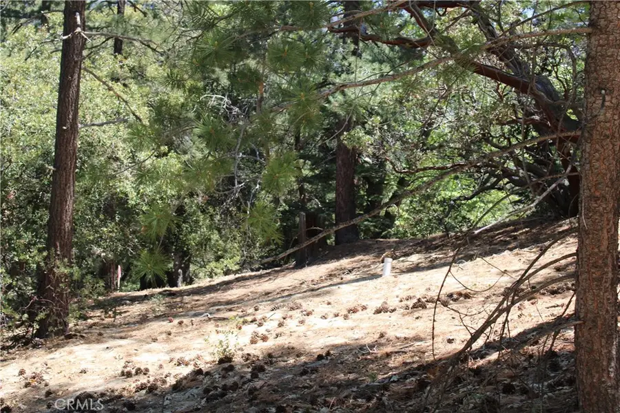 8 Big Rock Drive, Idyllwild, CA 92549 - #3
