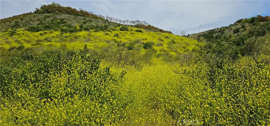 46700 El Prado Road, Temecula, CA 92590 - #3