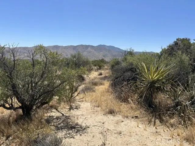 7 Carrizo Road, Mountain Center, CA 92561 - #3