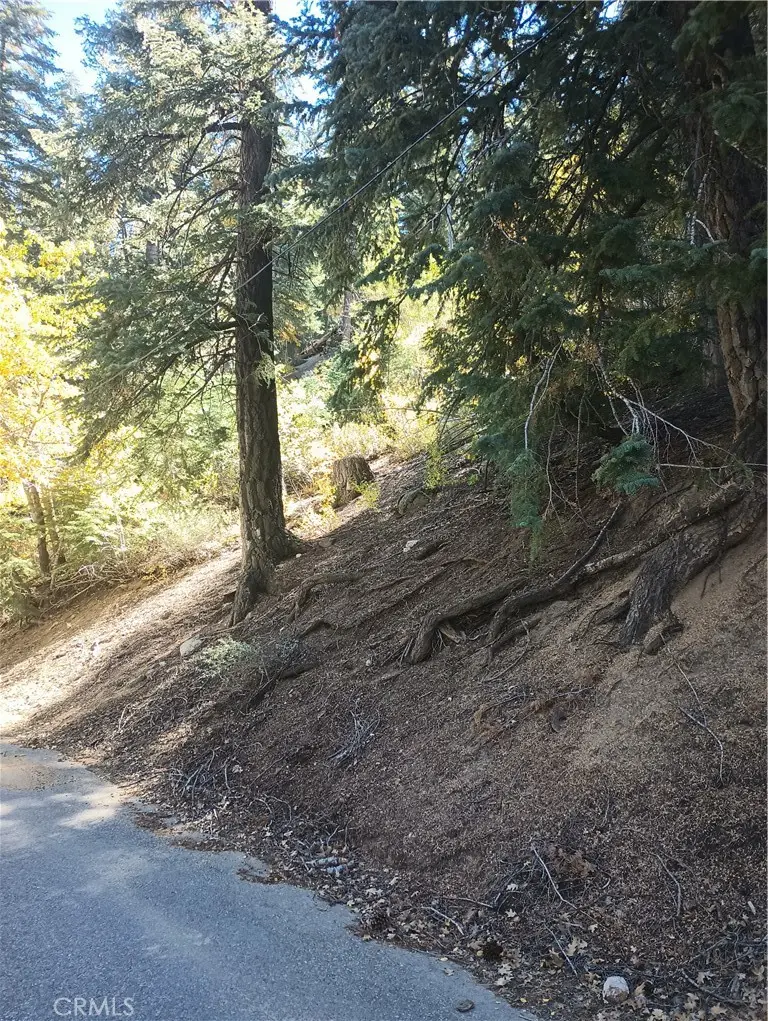 0 Cherry, Big Bear Lake, CA 92315 - #1