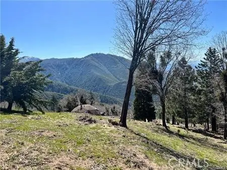 41 Fredalba Road, Running Springs, CA 92382 - #1
