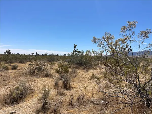 0 213th, Llano, CA 93544