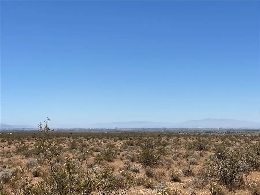 0 195th, Llano, CA 93591 - #2