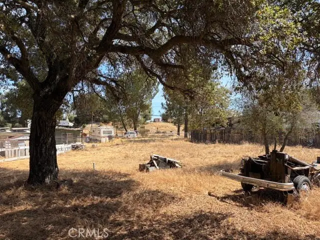 0 Cleveland Forest Drive, Campo, CA 91906 - #1