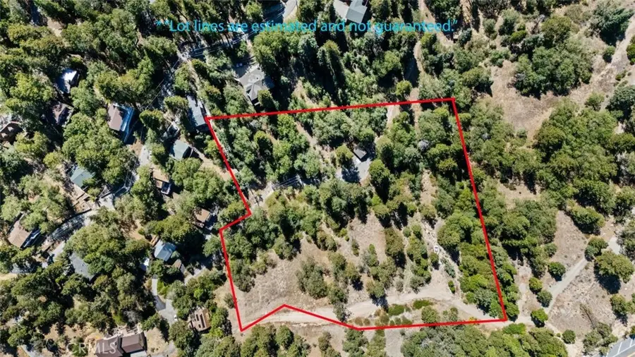 31795 Hwy 330, Running Springs, CA 92382 - #3