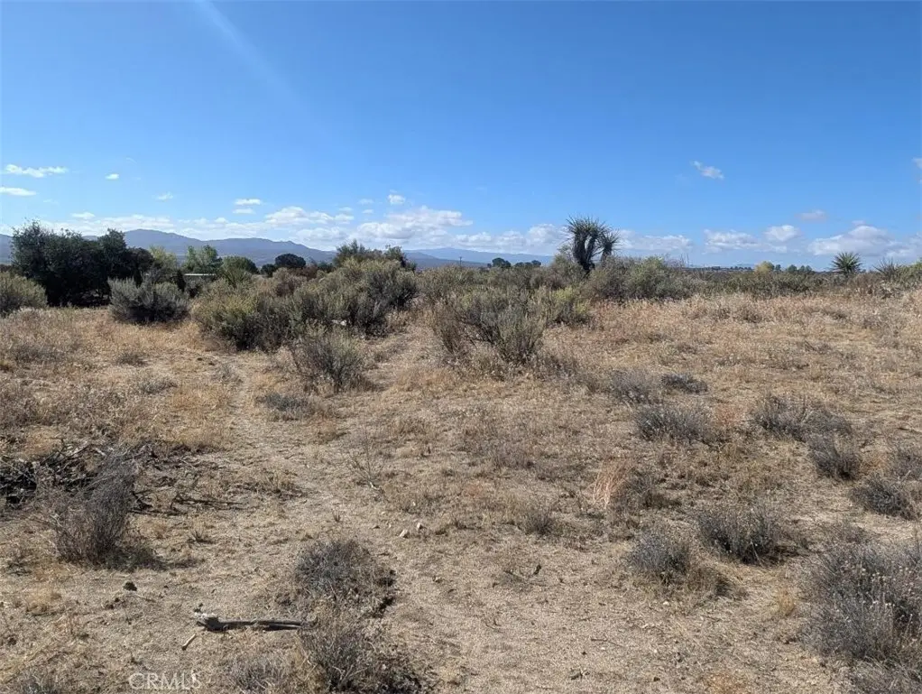 0 Lanik Lane, Anza, CA 92539 - #1