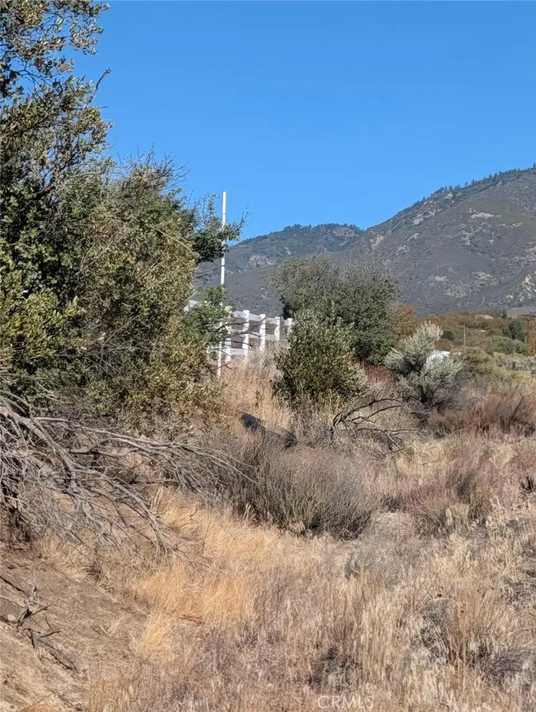 0 Lanik Lane, Anza, CA 92539 - #3