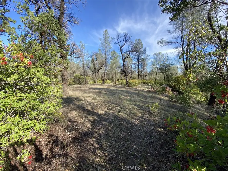 15785 Placer Court, Corning, CA 96021 - Image #2