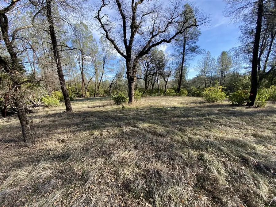 15785 Placer Court, Corning, CA 96021 - Image #3