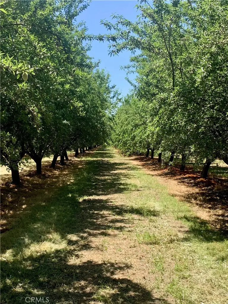 10351 Avenue 112, Pixley, CA 93256 - Image #1