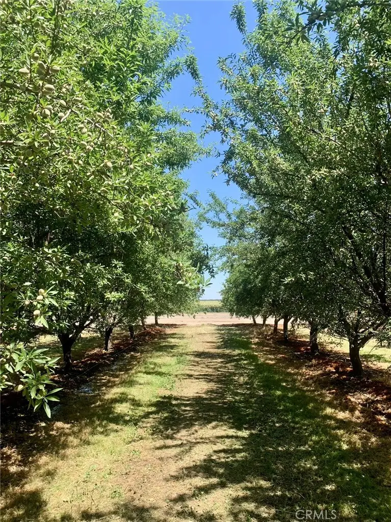 10351 Avenue 112, Pixley, CA 93256 - Image #2