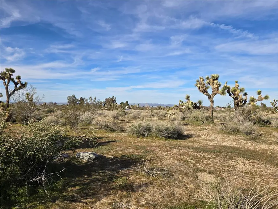 0 Mountain Road, Pinon Hills, CA 92372 - #3
