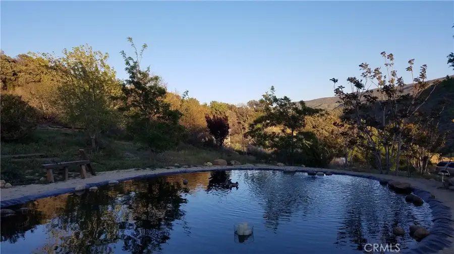 9301 Lost Valley Road, Leona Valley, CA 93551 - #2