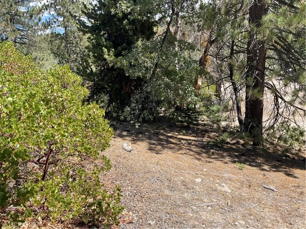 0 Arrowbear, Running Springs, CA 92382 - #1